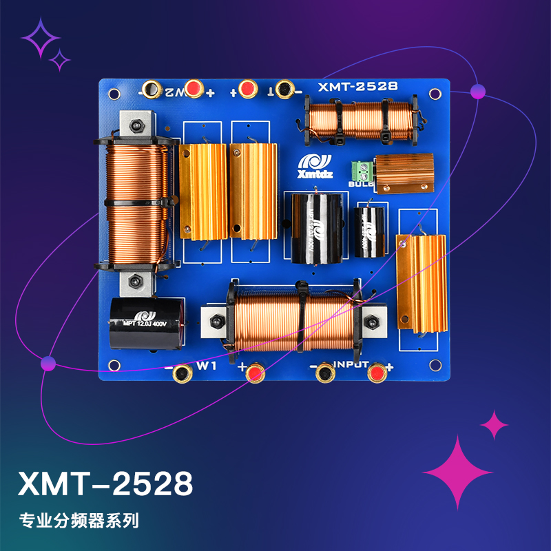 XMT-2528